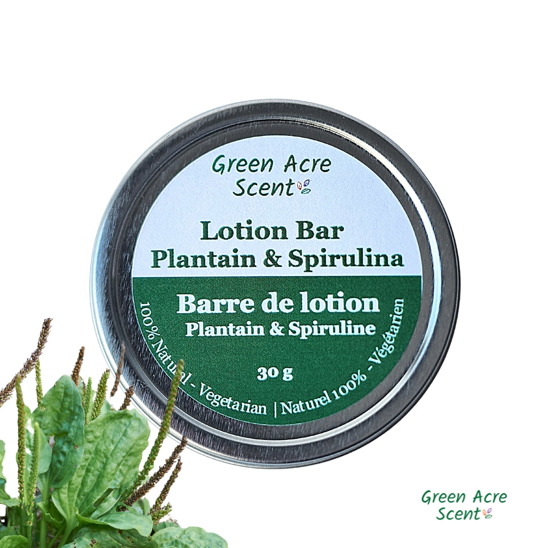 Plantain & Spirulina Lotion Bar | Handmade, Botanical, All Natural