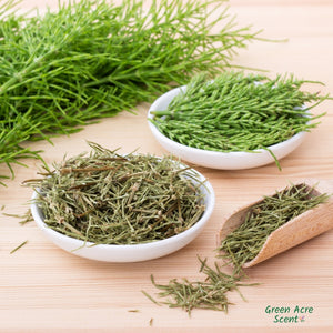 Stronger, Healthier Hair with Horsetail | Green Acre Scent