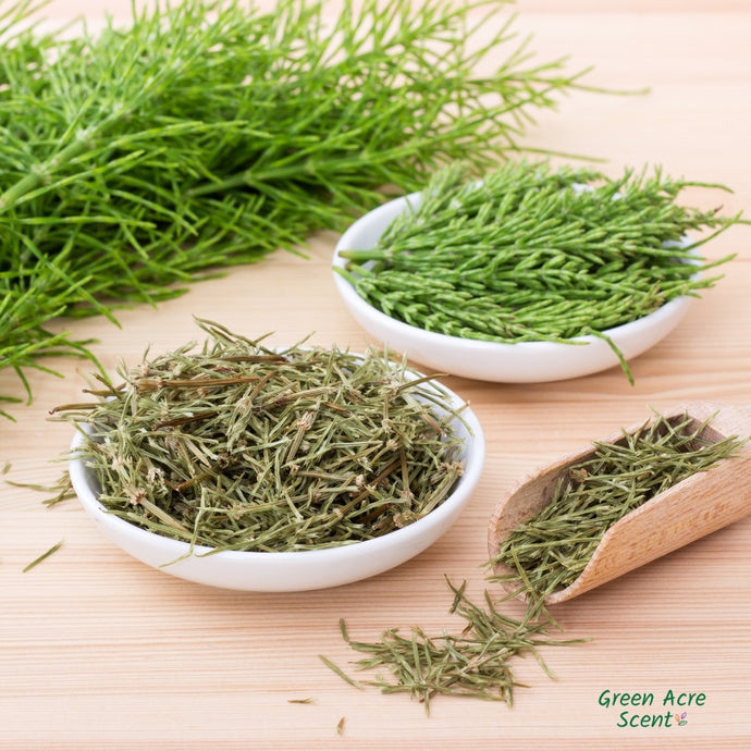 Horsetail: A Natural Boost for Healthier Hair and Beyond